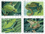 frogs