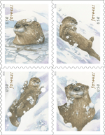 otters