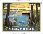 everglades