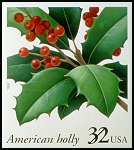 American Holly