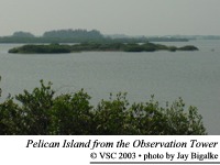 Pelican Island from Observation Tower