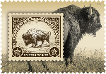 American Bison